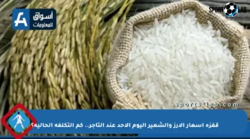 قفزة أسعار الأرز والشعير اليوم الأحد عند التاجر.. كم التكلفة الحالية؟
